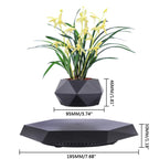 Pot de Fleurs Lévitant, Pot de Fleurs Magnétique Flottant par Lévitation, Rotatif, Suspension pour Plantes Grasses et Succulentes en Pot pour la Maison